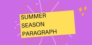 summer season paragraph
