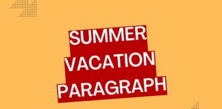 summer vacation paragraph