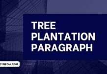tree plantation paragraph (বাংলা অর্থসহ) এটি লিখলে স্যার ফুল মার্ক দিবেই tree plantation paragraph