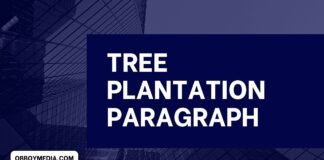 tree plantation paragraph