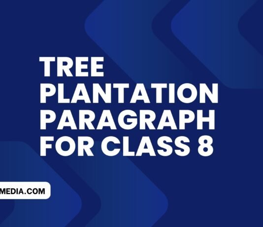 tree plantation paragraph for class 8 (বাংলা অর্থসহ) এটি লিখলে স্যার ফুল মার্ক দিবেই tree plantation paragraph for class 8