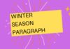 winter season paragraph