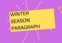 winter season paragraph