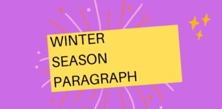 winter season paragraph