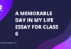 a memorable day in my life essay for class 6