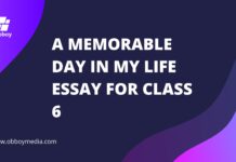 a memorable day in my life essay for class 6