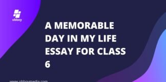 a memorable day in my life essay for class 6