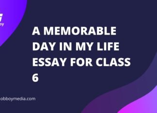 a memorable day in my life essay for class 6