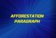 afforestation paragraph ( বাংলা অর্থ সহ – সহজ ভাষায় ) কয়েক পড়াতেই মুখস্ত হবে afforestation paragraph