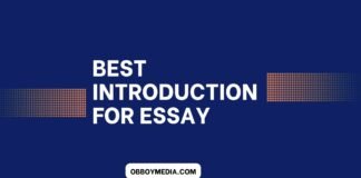 best introduction for essay