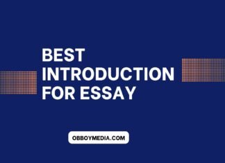 best introduction for essay