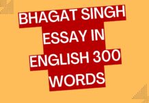bhagat singh essay in english 300 words