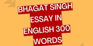 bhagat singh essay in english 300 words