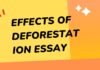 effects of deforestation essay