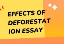 effects of deforestation essay ( বাংলা অর্থ সহ – সহজ ভাষায় ) কয়েক পড়াতেই মুখস্ত হবে effects of deforestation essay