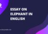 essay on elephant in english