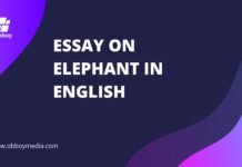 essay on elephant in english