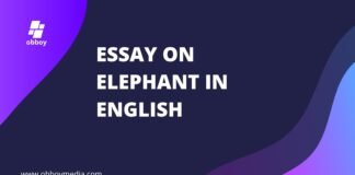 essay on elephant in english
