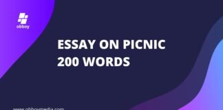 essay on picnic 200 words