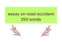 essay on road accident 250 words ( বাংলা অর্থ সহ – সহজ ভাষায় ) কয়েক পড়াতেই মুখস্ত হবে essay on road accident 250 words