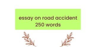 essay on road accident 250 words