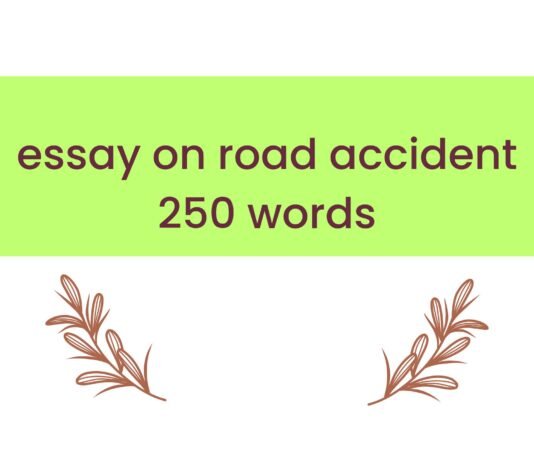 essay on road accident 250 words ( বাংলা অর্থ সহ – সহজ ভাষায় ) কয়েক পড়াতেই মুখস্ত হবে essay on road accident 250 words