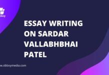 essay writing on sardar vallabhbhai patel