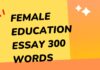 female education essay 300 words