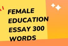 female education essay 300 words ( বাংলা অর্থ সহ ) মুখস্ত হবে ১০ মিনিটেই female education essay 300 words