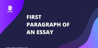 first paragraph of an essay