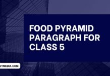 food pyramid paragraph for class 5 ( বাংলা অর্থ সহ – সহজ ভাষায় ) কয়েক পড়াতেই মুখস্ত হবে food pyramid paragraph for class 5 1