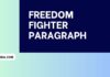 freedom fighter paragraph