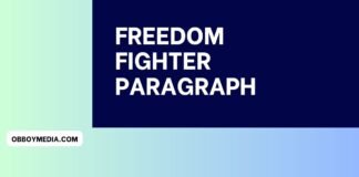 freedom fighter paragraph