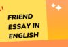 friend essay in english