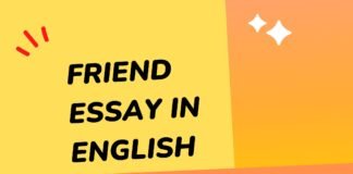 friend essay in english