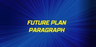 future plan paragraph