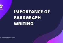 importance of paragraph writing