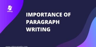 importance of paragraph writing