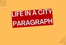 life in a city paragraph