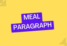 meal paragraph