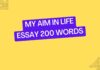 my aim in life essay 200 words