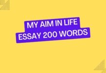 my aim in life essay 200 words
