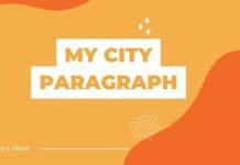 my city paragraph ( বাংলা অর্থ সহ – সহজ ভাষায় ) কয়েক পড়াতেই মুখস্ত হবে my city paragraph