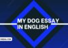 my dog essay in english