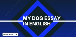 my dog essay in english