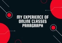 my experience of online classes paragraph