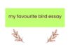 my favourite bird essay