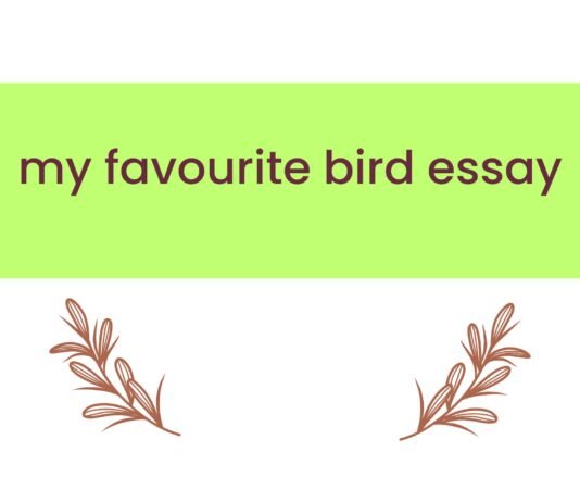 my favourite bird essay ( বাংলা অর্থ সহ – সহজ ভাষায় ) কয়েক পড়াতেই মুখস্ত হবে my favourite bird essay