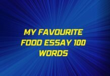 my favourite food essay 100 words ( বাংলা অর্থ সহ – সহজ ভাষায় ) কয়েক পড়াতেই মুখস্ত হবে my favourite food essay 100 words