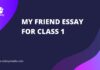 my friend essay for class 1